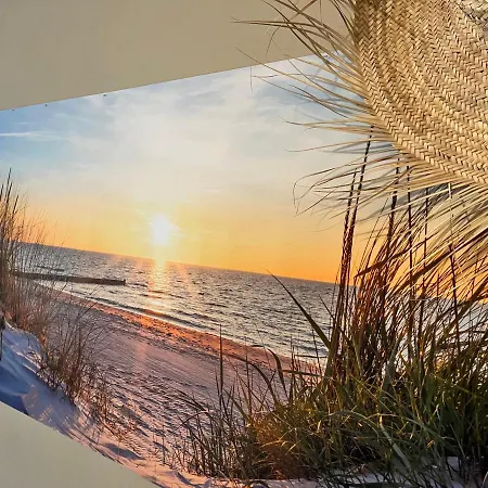 Daire Center Yellow Oostende