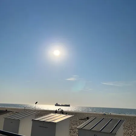 Apartman Center Yellow