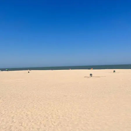 Center Yellow Apartman *